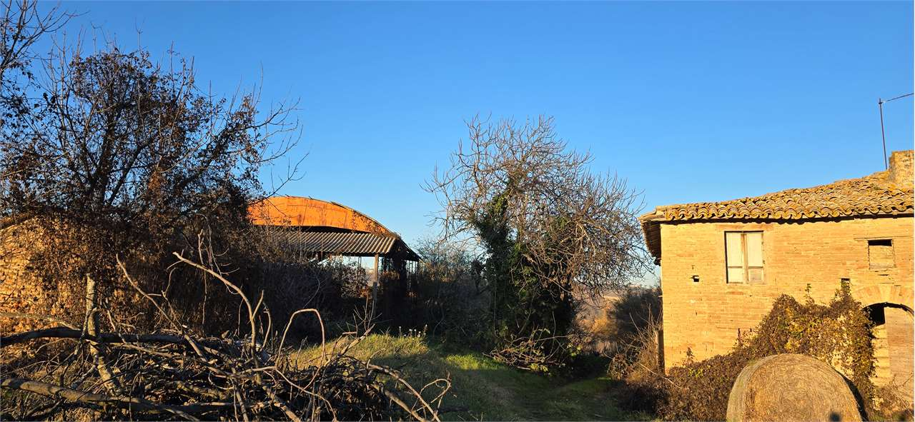 immagine annuncio 3 di 6