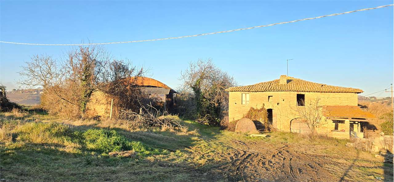 immagine annuncio 4 di 6