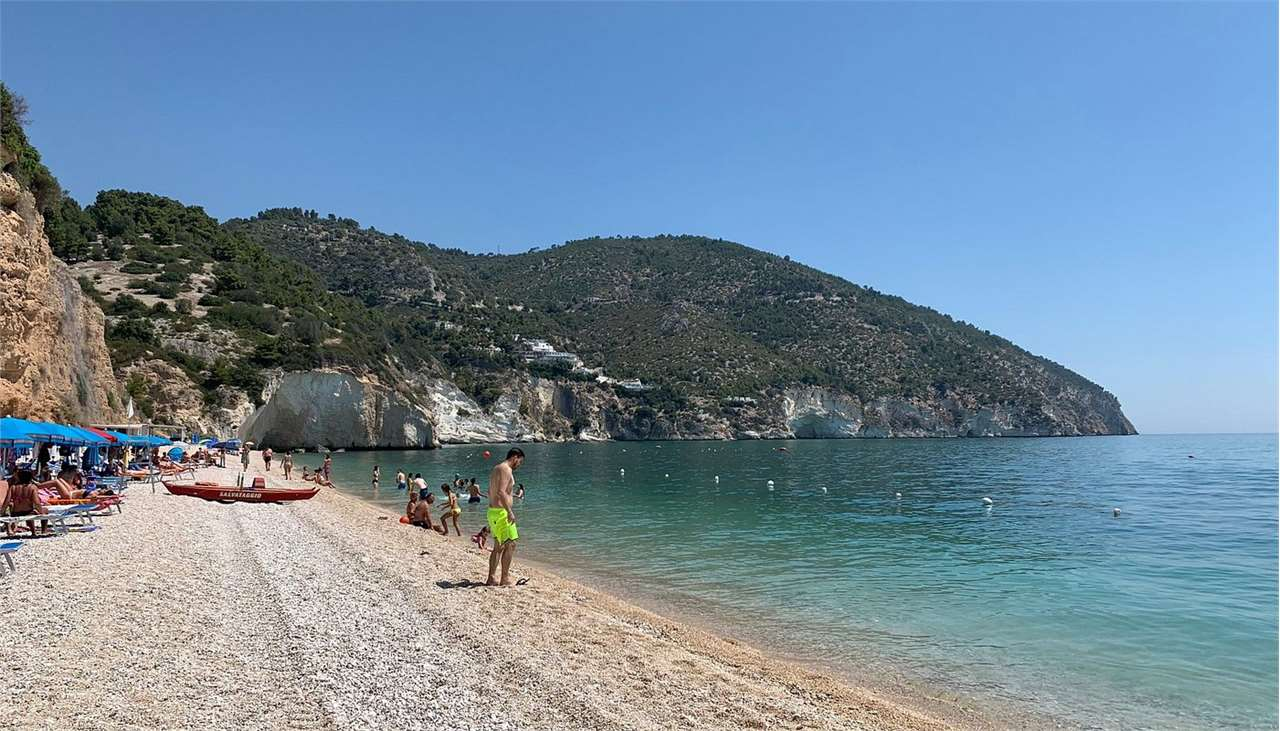 immagine annuncio 4 di 8