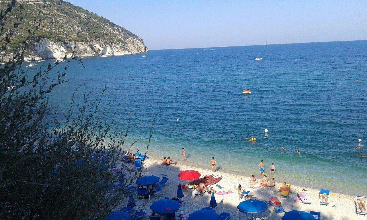 immagine annuncio 7 di 8