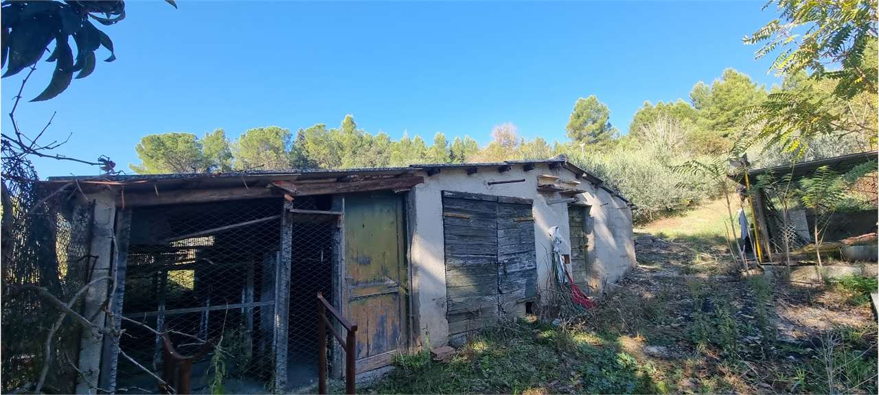 immagine annuncio 4 di 10