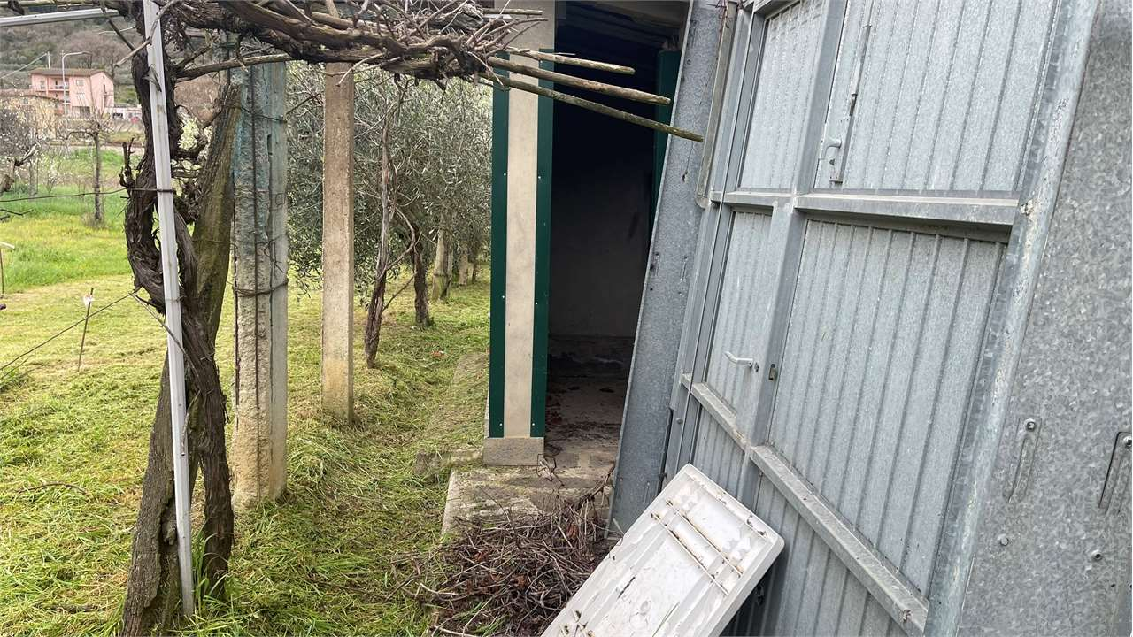 immagine annuncio 7 di 10