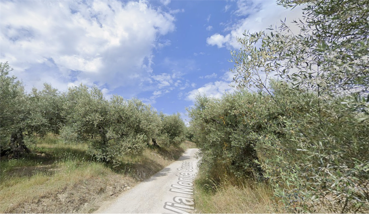 immagine annuncio 2 di 4