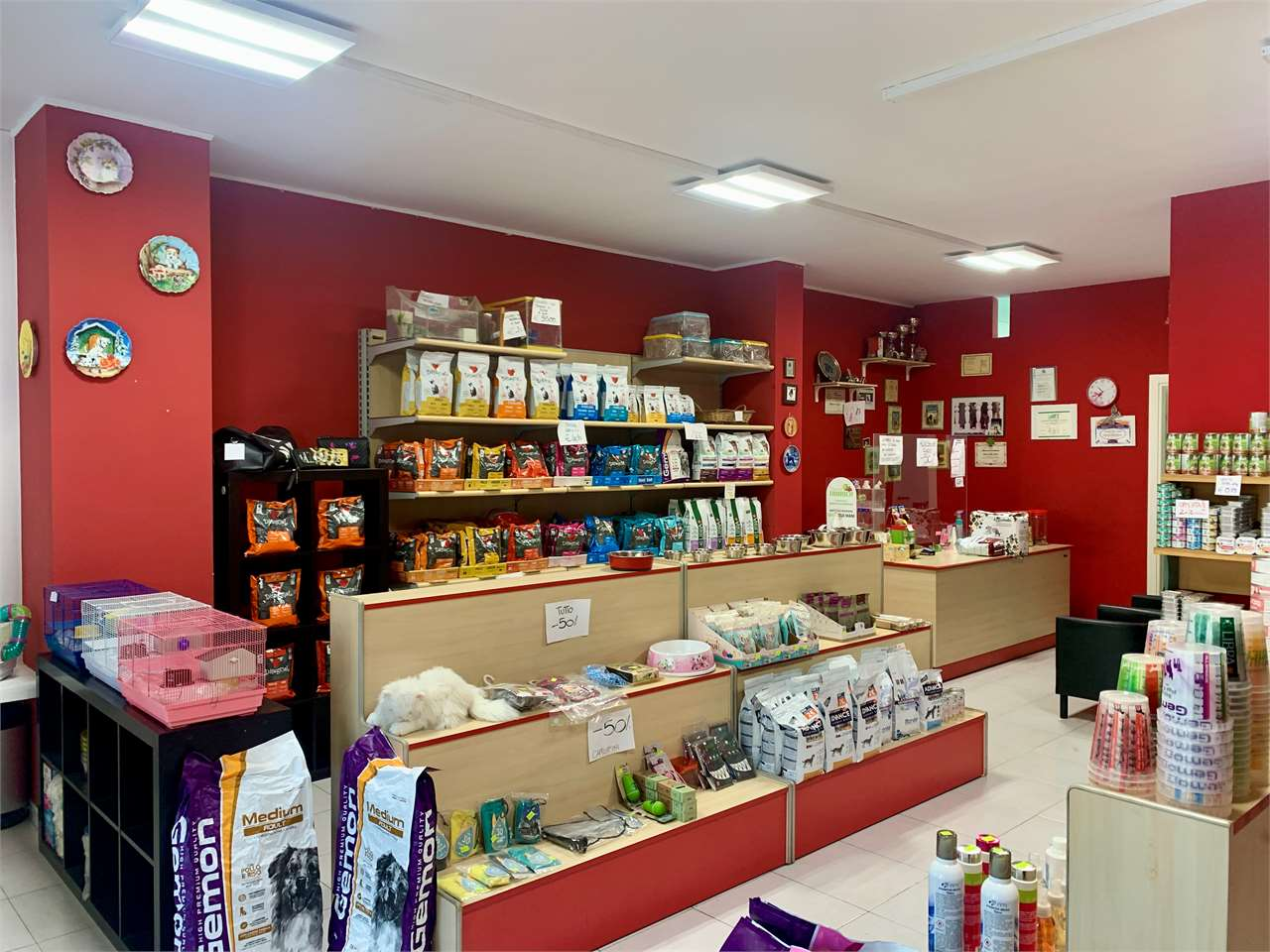 immagine annuncio 3 di 10