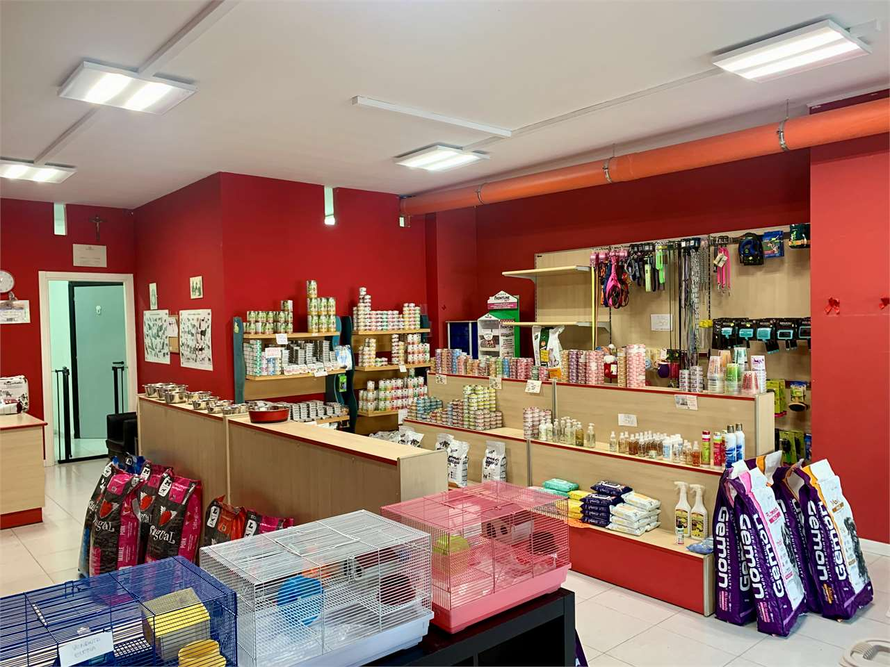 immagine annuncio 7 di 10