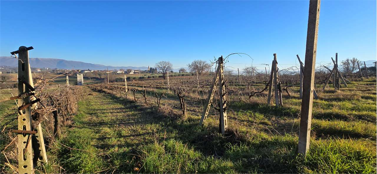 immagine annuncio 2 di 9