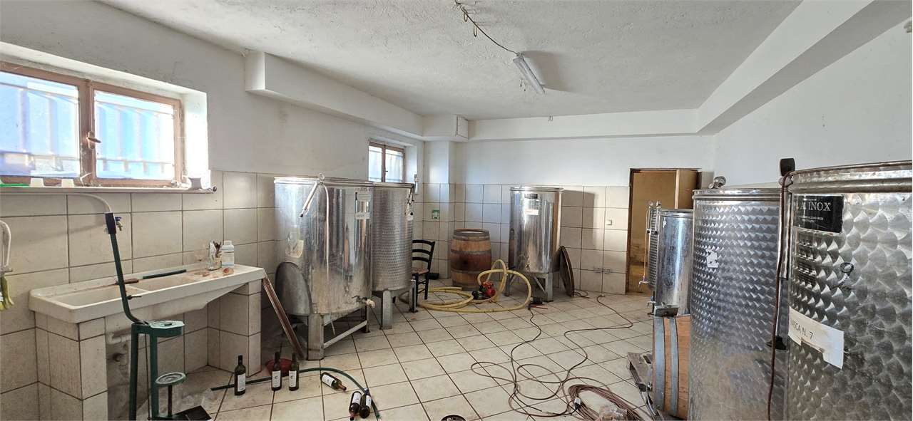 immagine annuncio 6 di 9