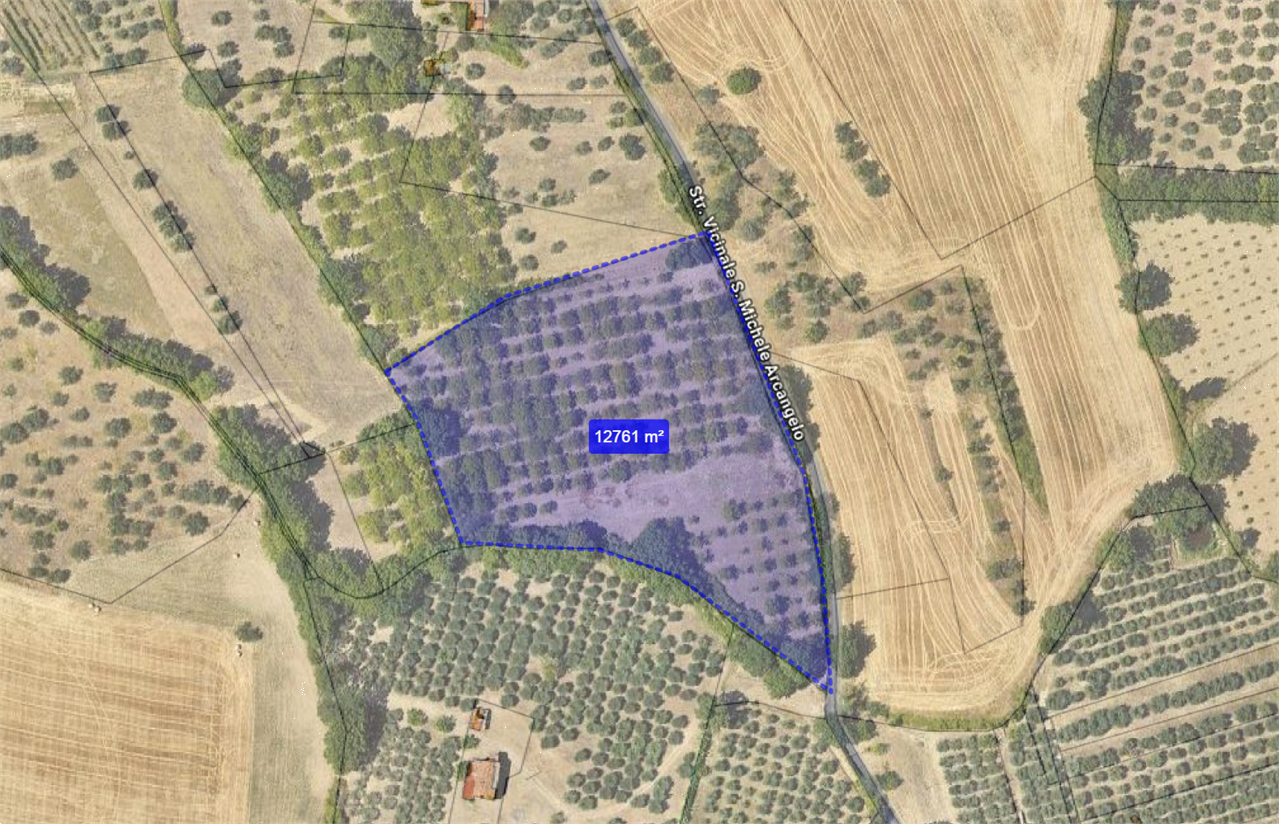 immagine annuncio 1 di 7