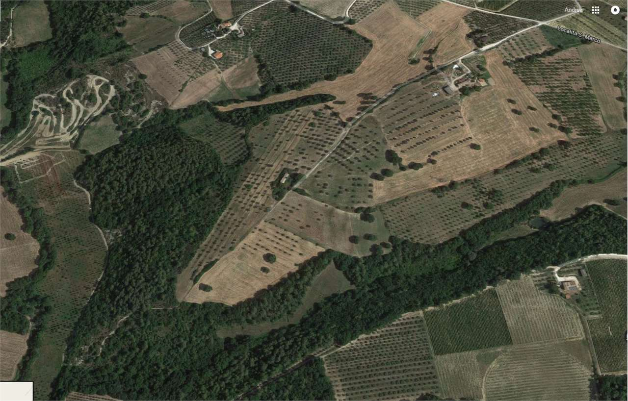 immagine annuncio 3 di 8