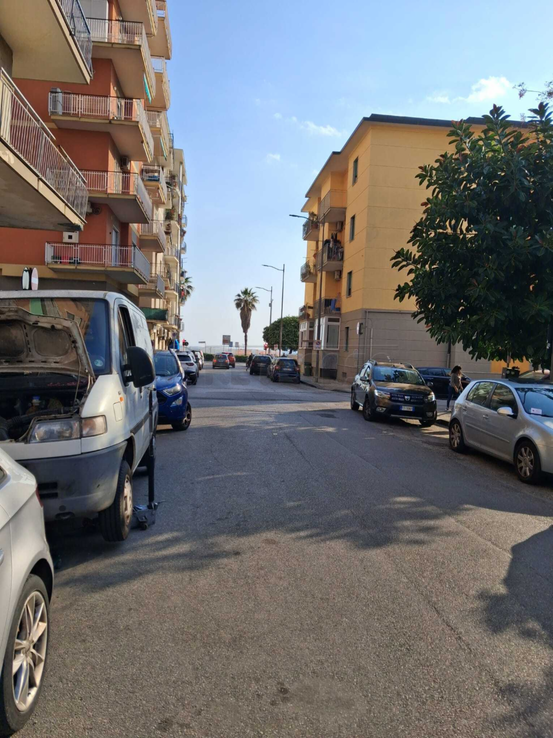immagine annuncio 1 di 8