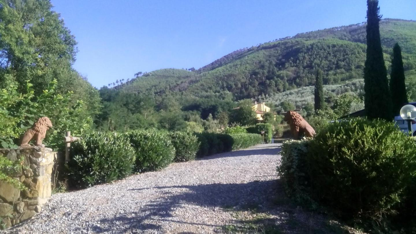 immagine annuncio 4 di 10