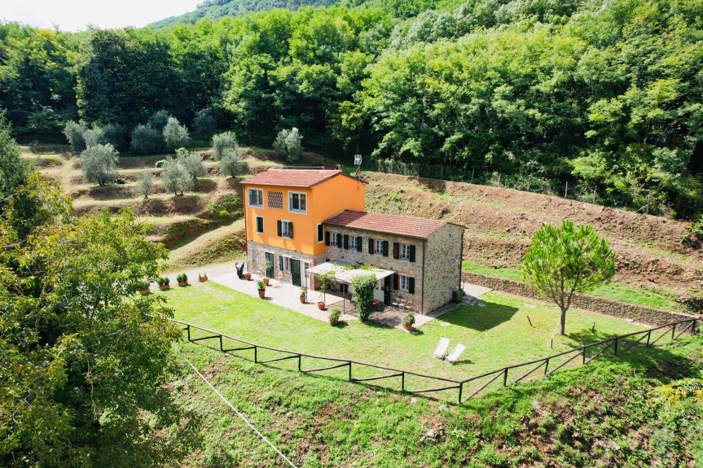 immagine annuncio 4 di 10