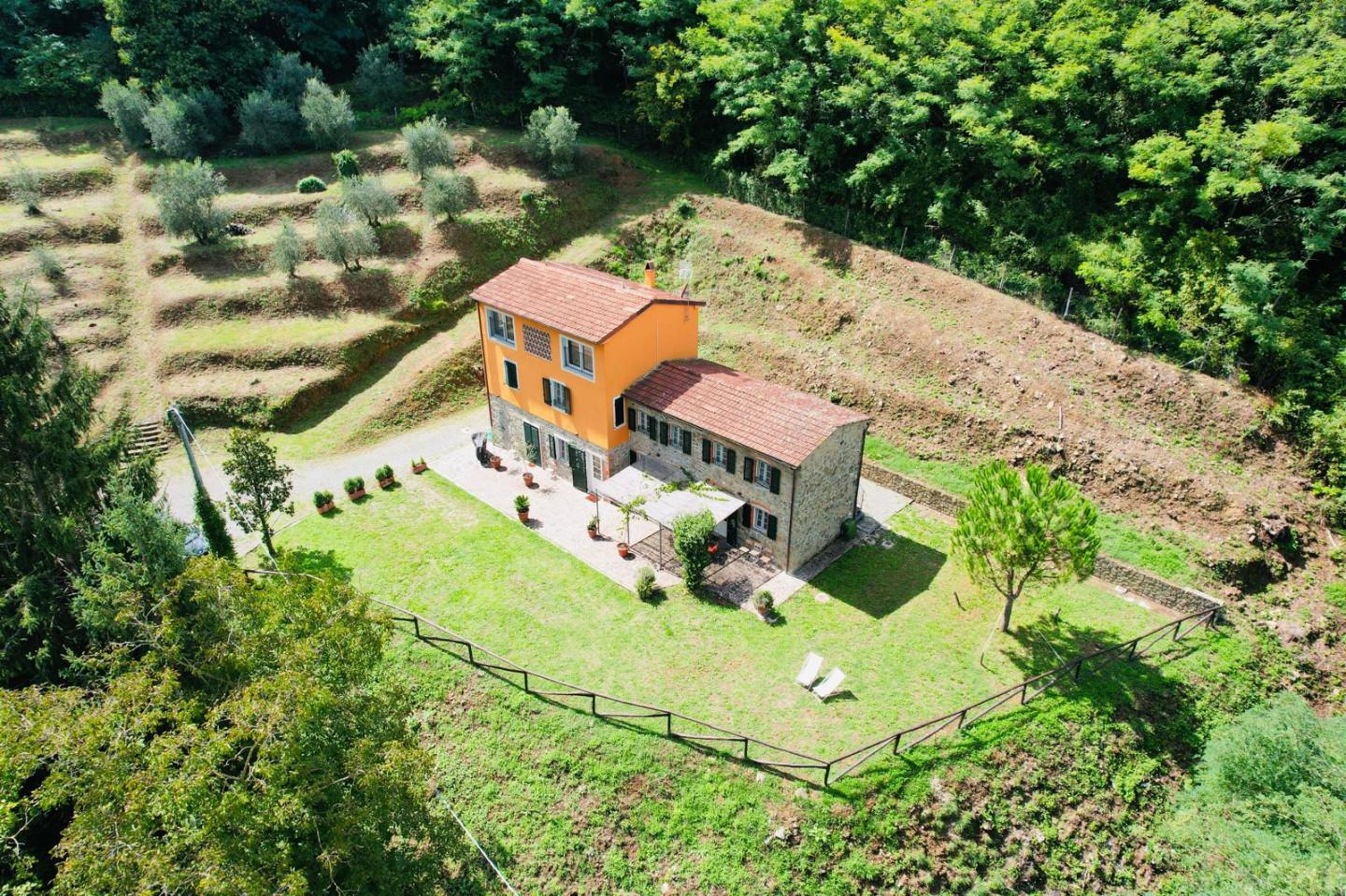 immagine annuncio 2 di 10