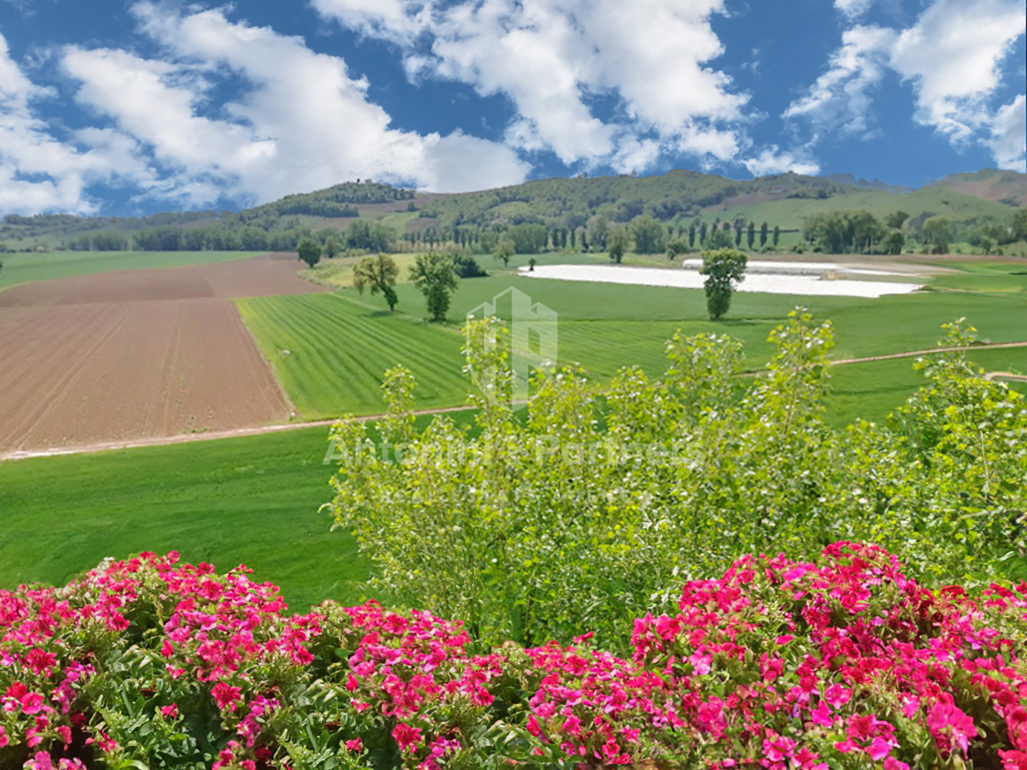 immagine annuncio 7 di 10