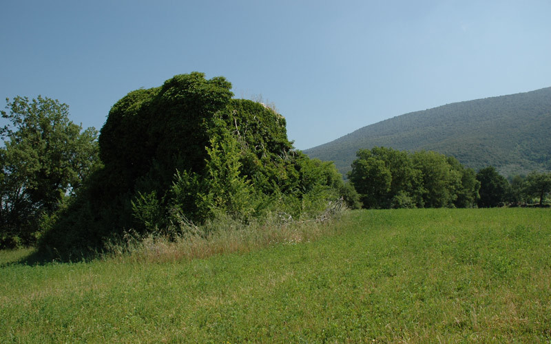 immagine annuncio 1 di 8