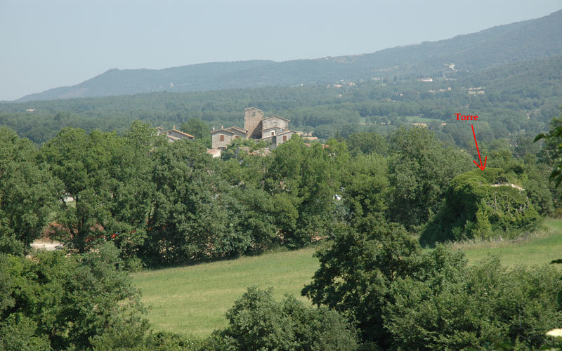 immagine annuncio 4 di 8