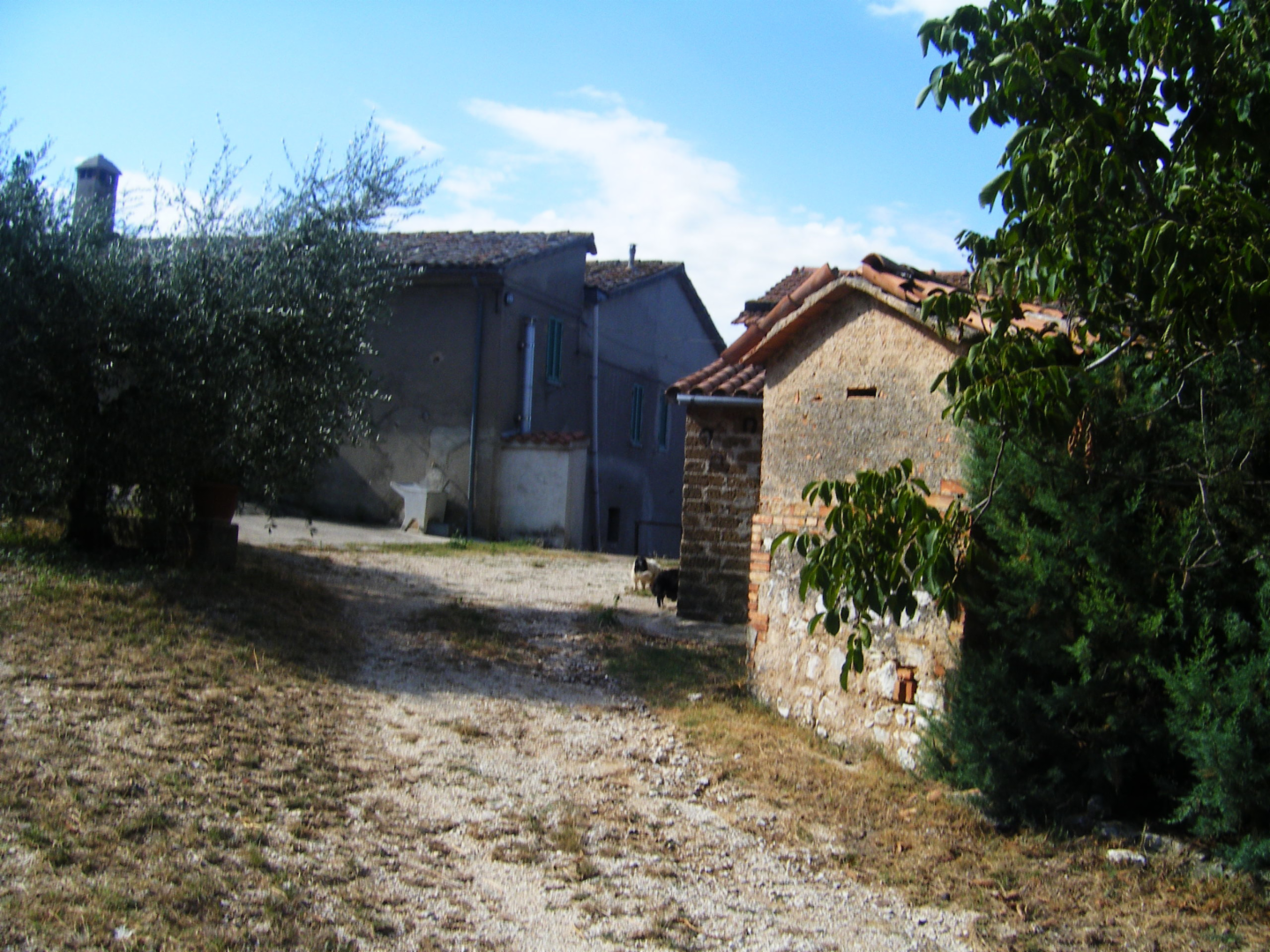 immagine annuncio 1 di 7