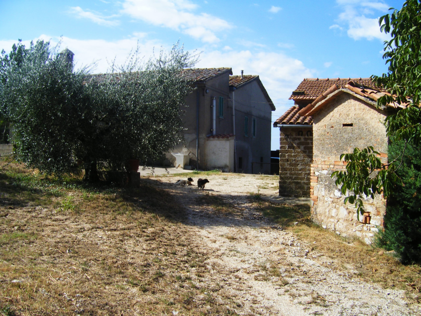 immagine annuncio 2 di 7