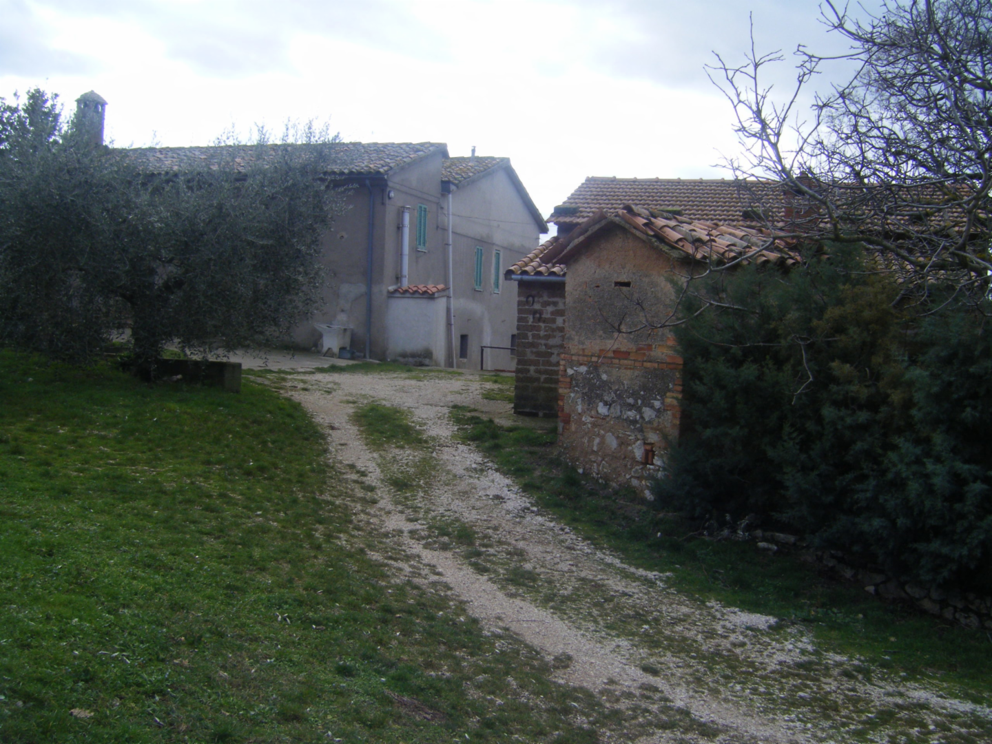 immagine annuncio 5 di 7
