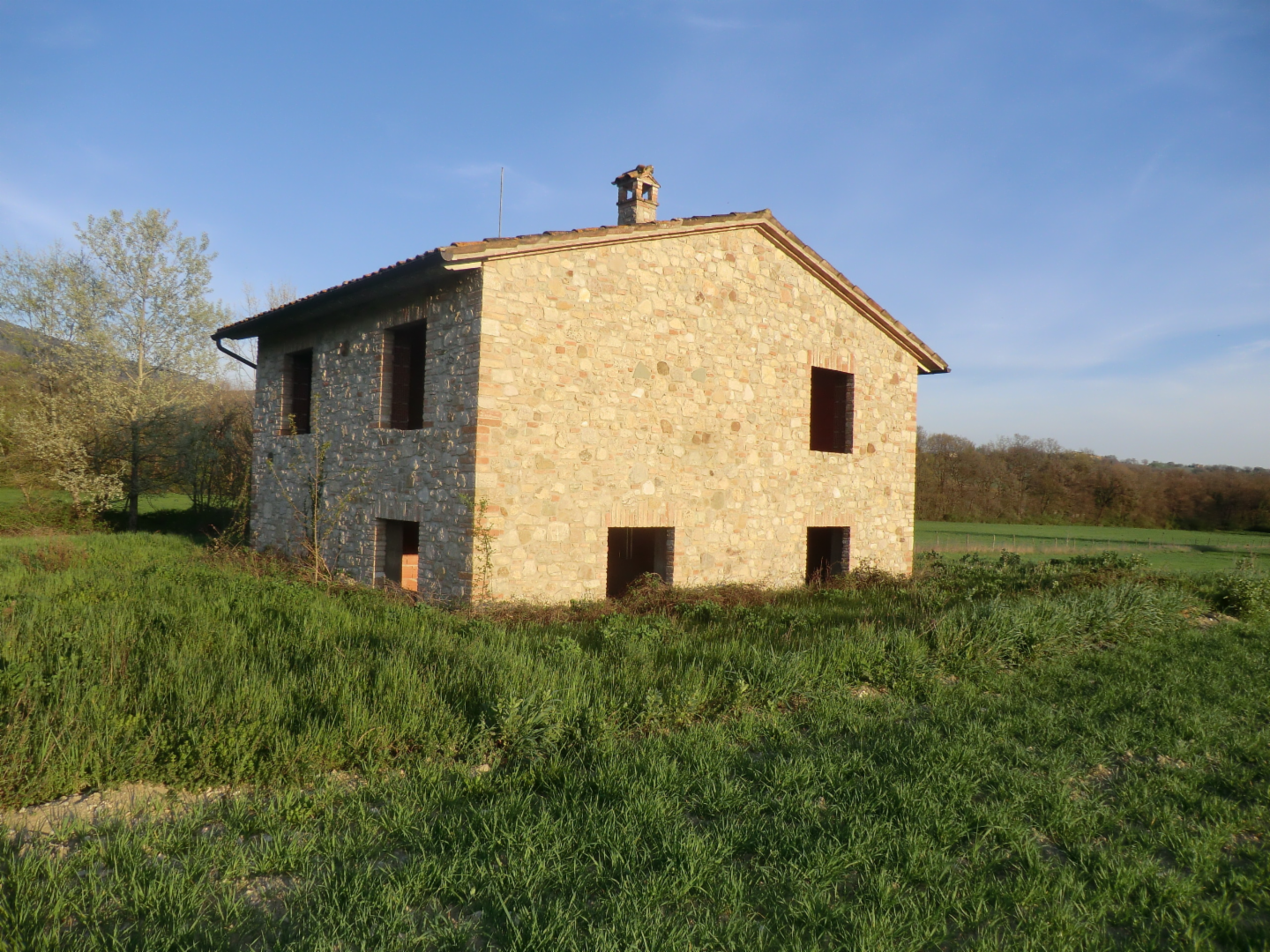 immagine annuncio 2 di 7