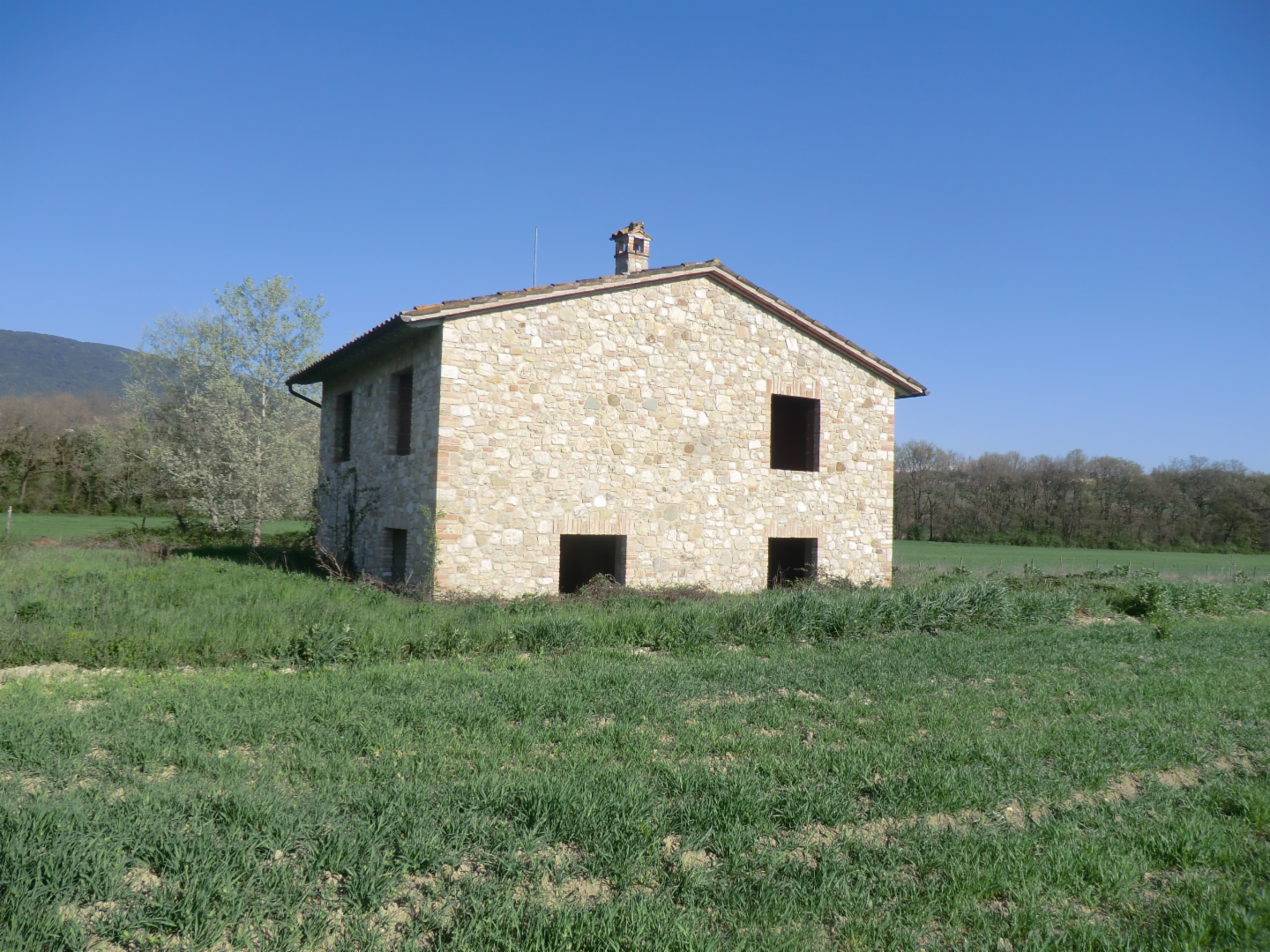 immagine annuncio 1 di 7