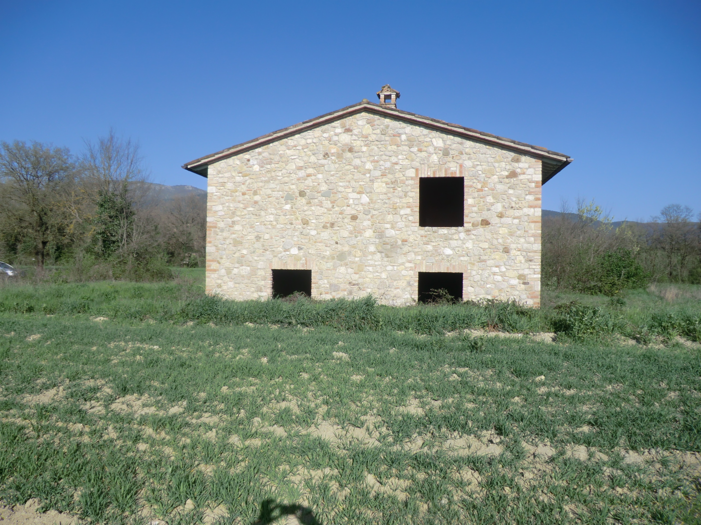 immagine annuncio 3 di 7