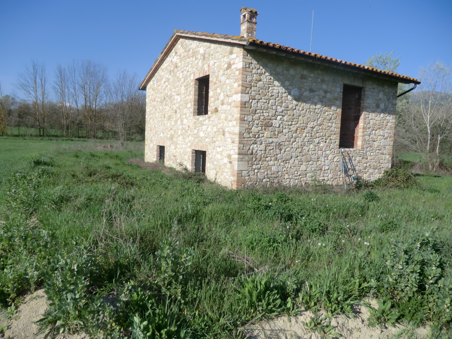 immagine annuncio 5 di 7
