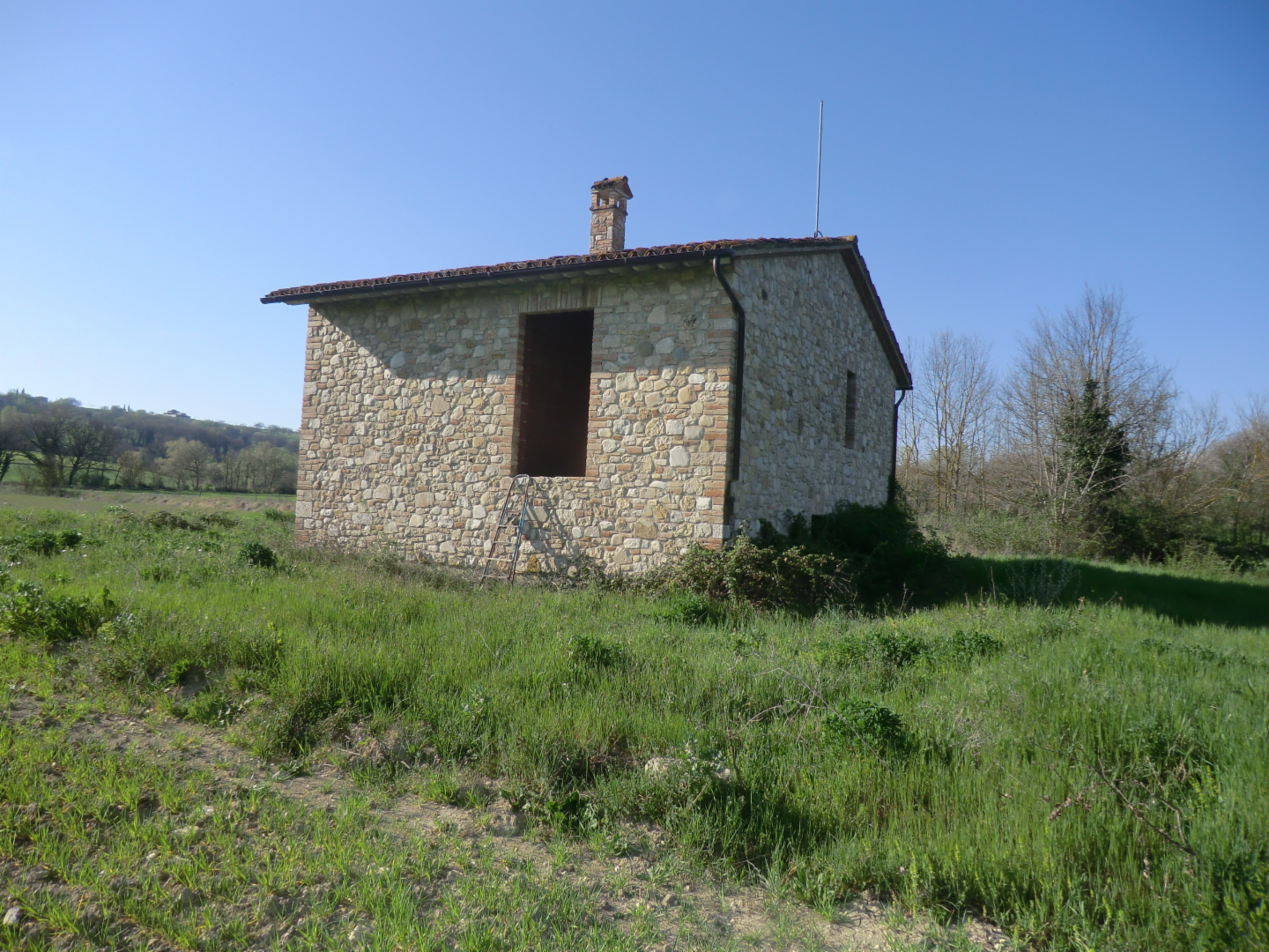 immagine annuncio 6 di 7