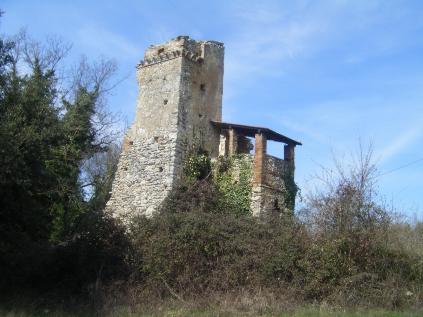 immagine annuncio 1 di 8