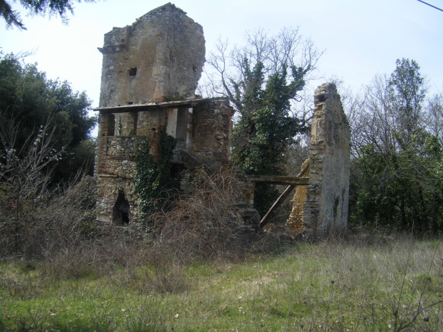 immagine annuncio 2 di 8