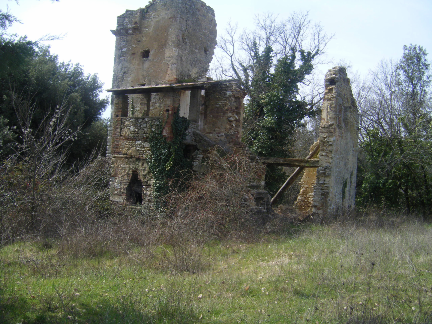 immagine annuncio 6 di 8