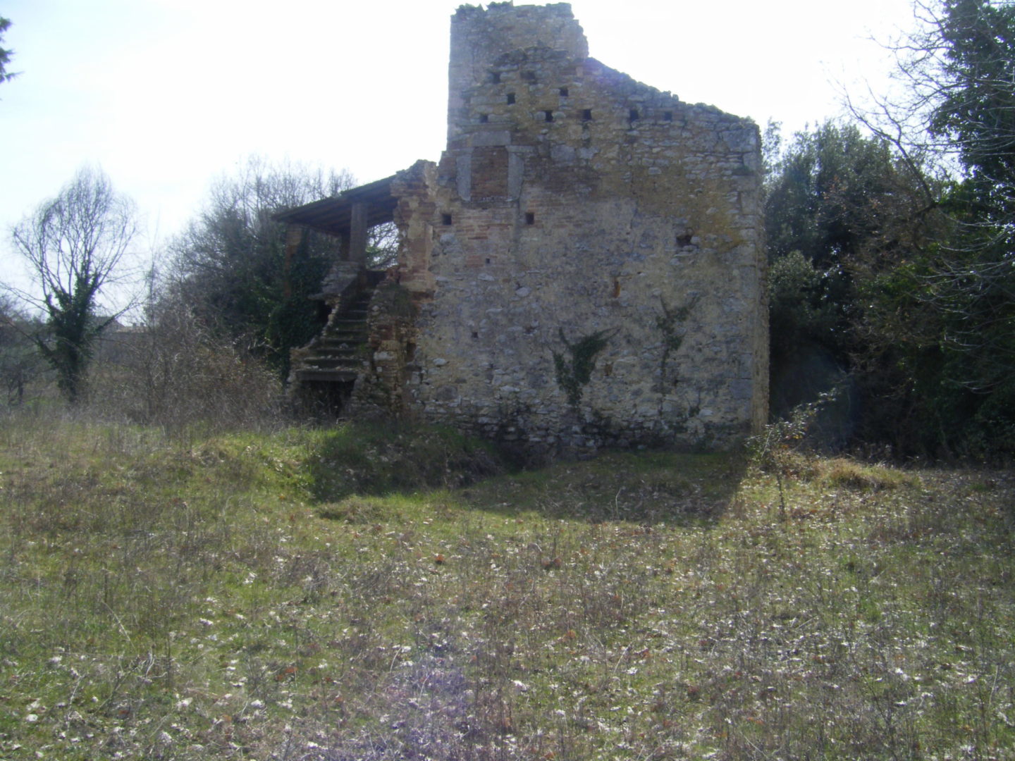 immagine annuncio 4 di 8