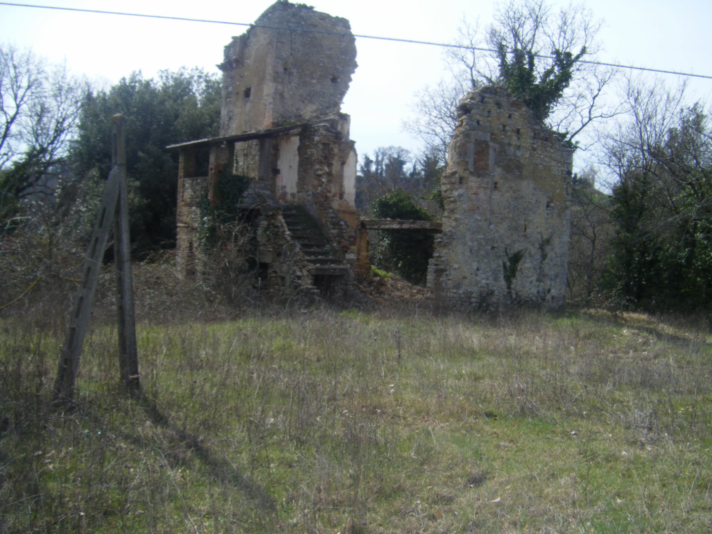 immagine annuncio 5 di 8