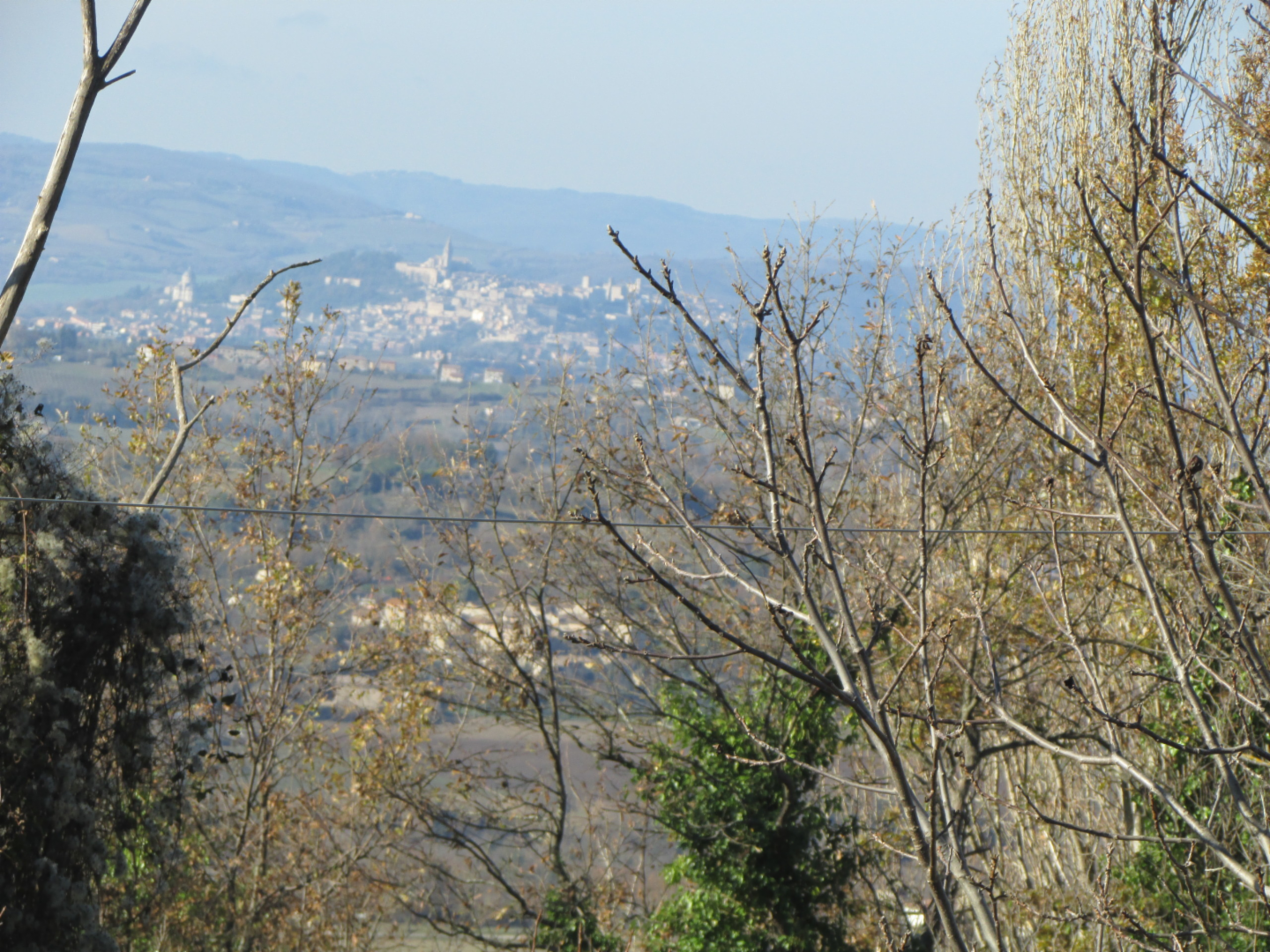 immagine annuncio 4 di 7