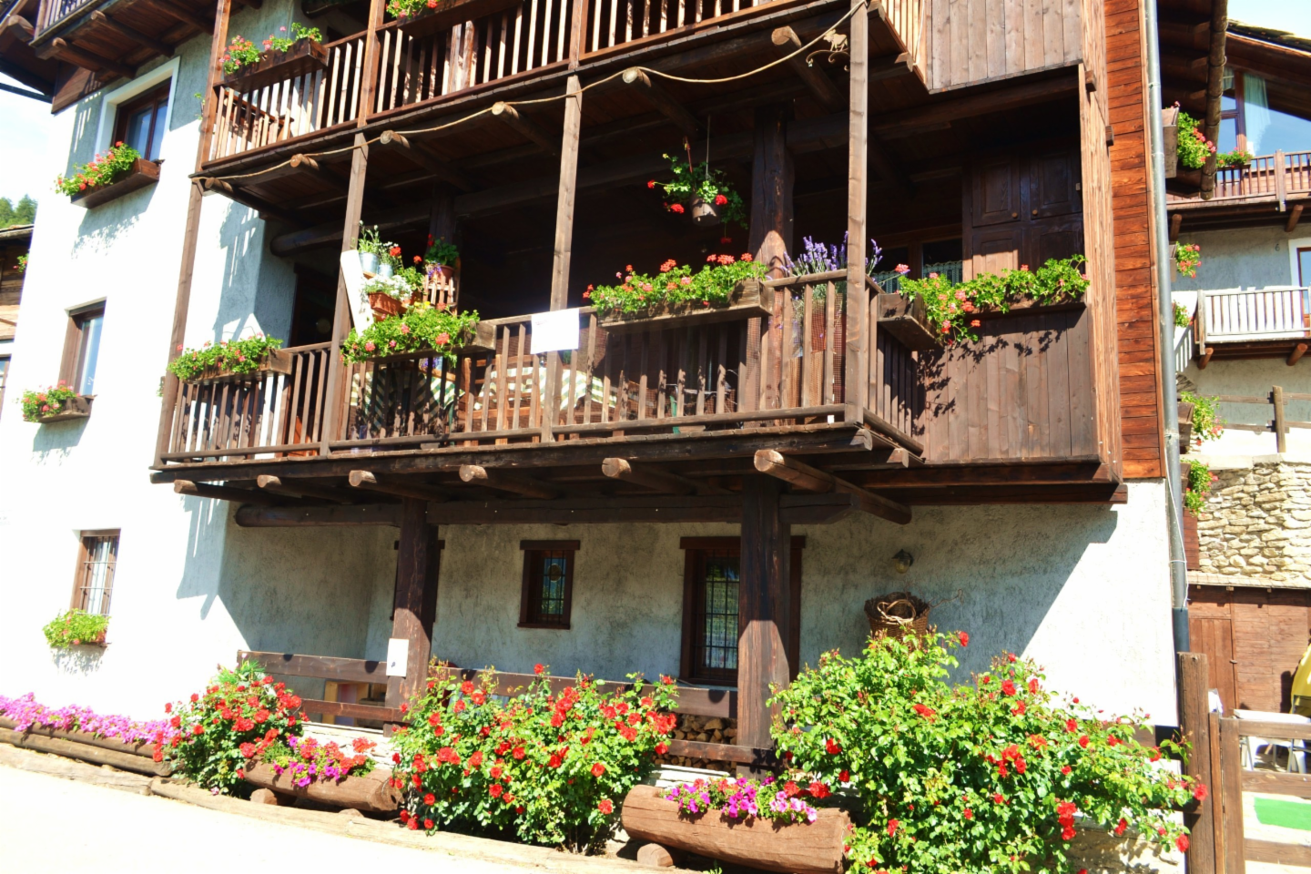 immagine annuncio 2 di 10