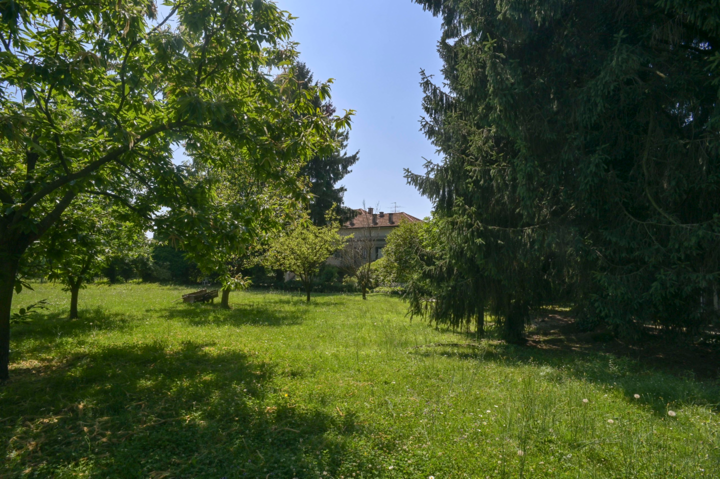 immagine annuncio 4 di 10