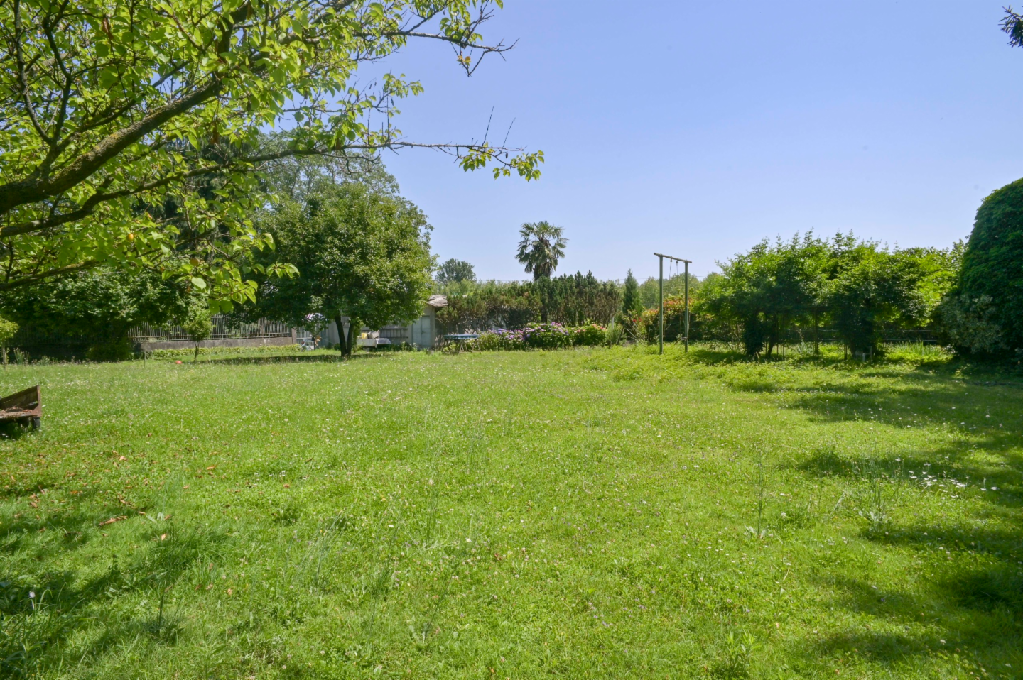 immagine annuncio 6 di 10