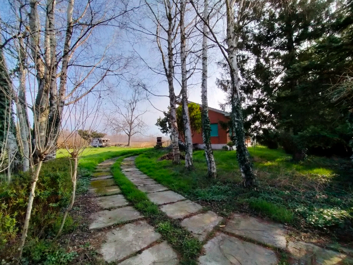 immagine annuncio 1 di 10