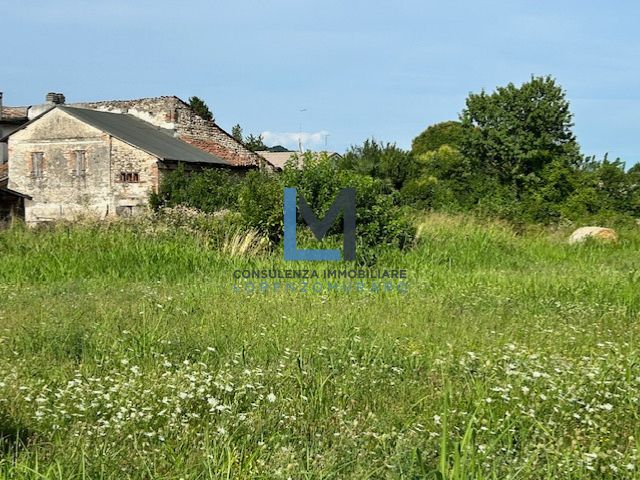 immagine annuncio 1 di 6