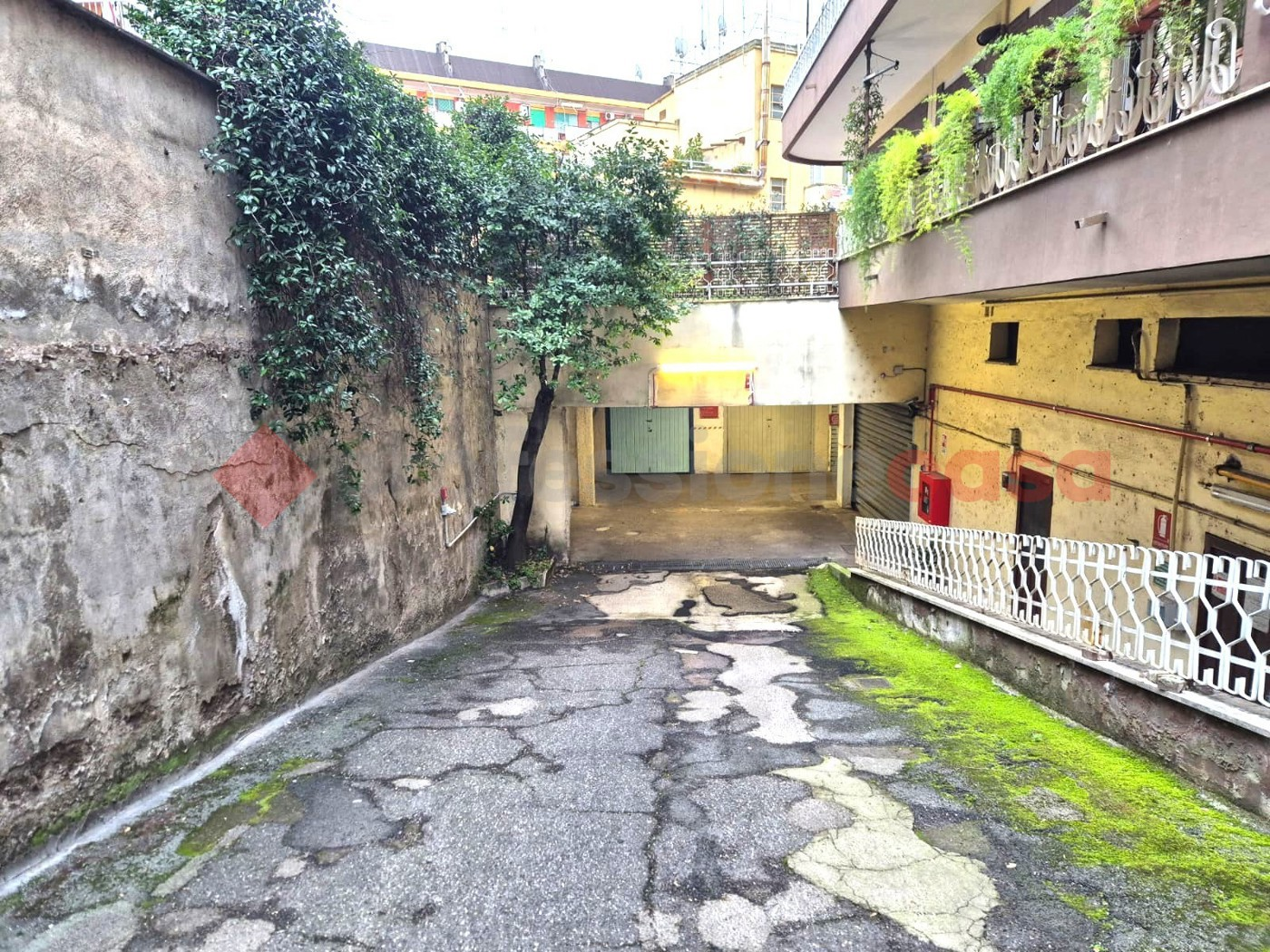 immagine annuncio 6 di 7