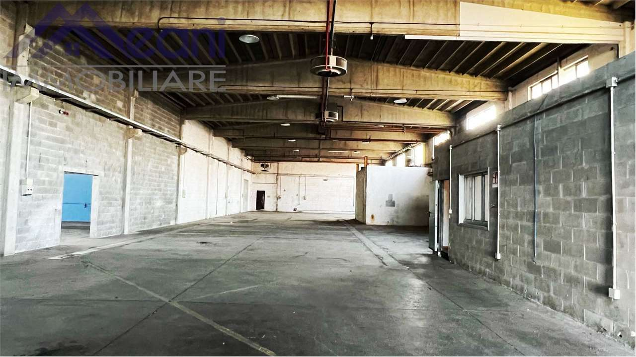 immagine annuncio 6 di 10