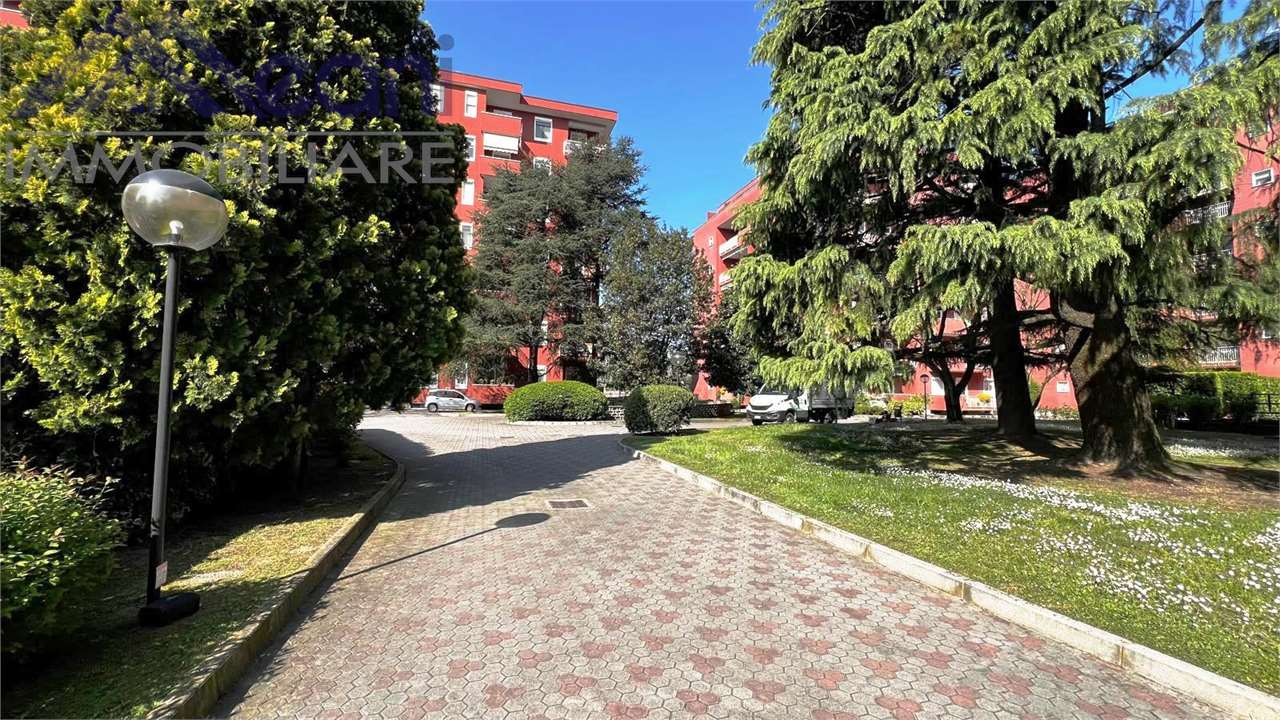 immagine annuncio 2 di 3