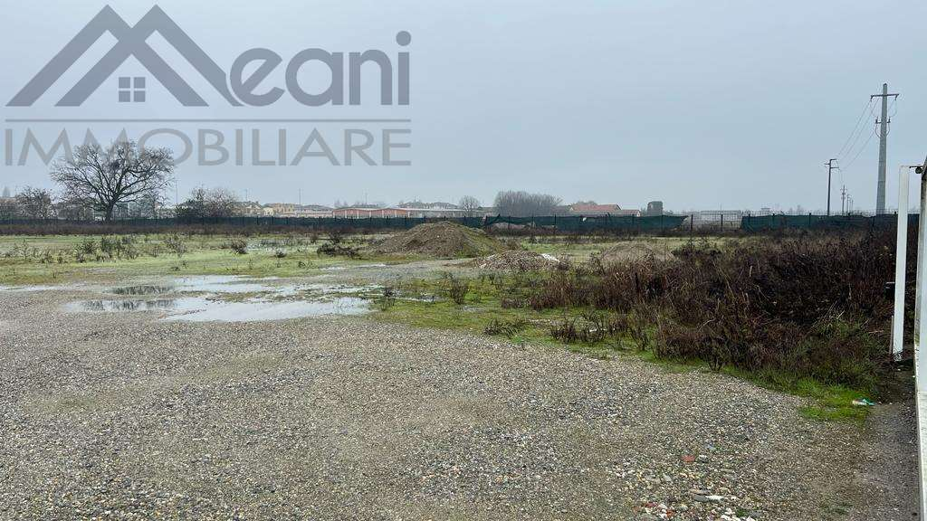 immagine annuncio 4 di 9