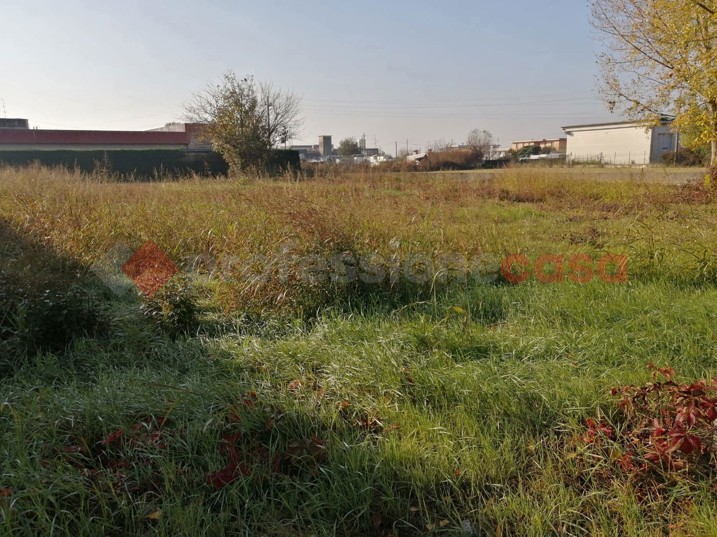 immagine annuncio 1 di 3