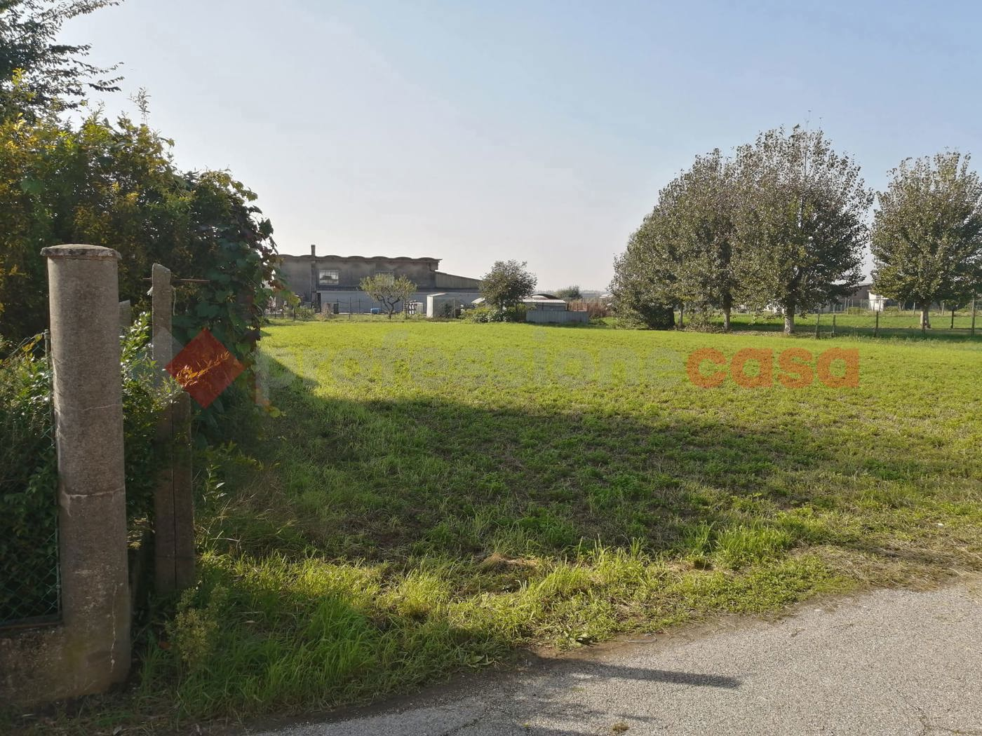 immagine annuncio 1 di 6