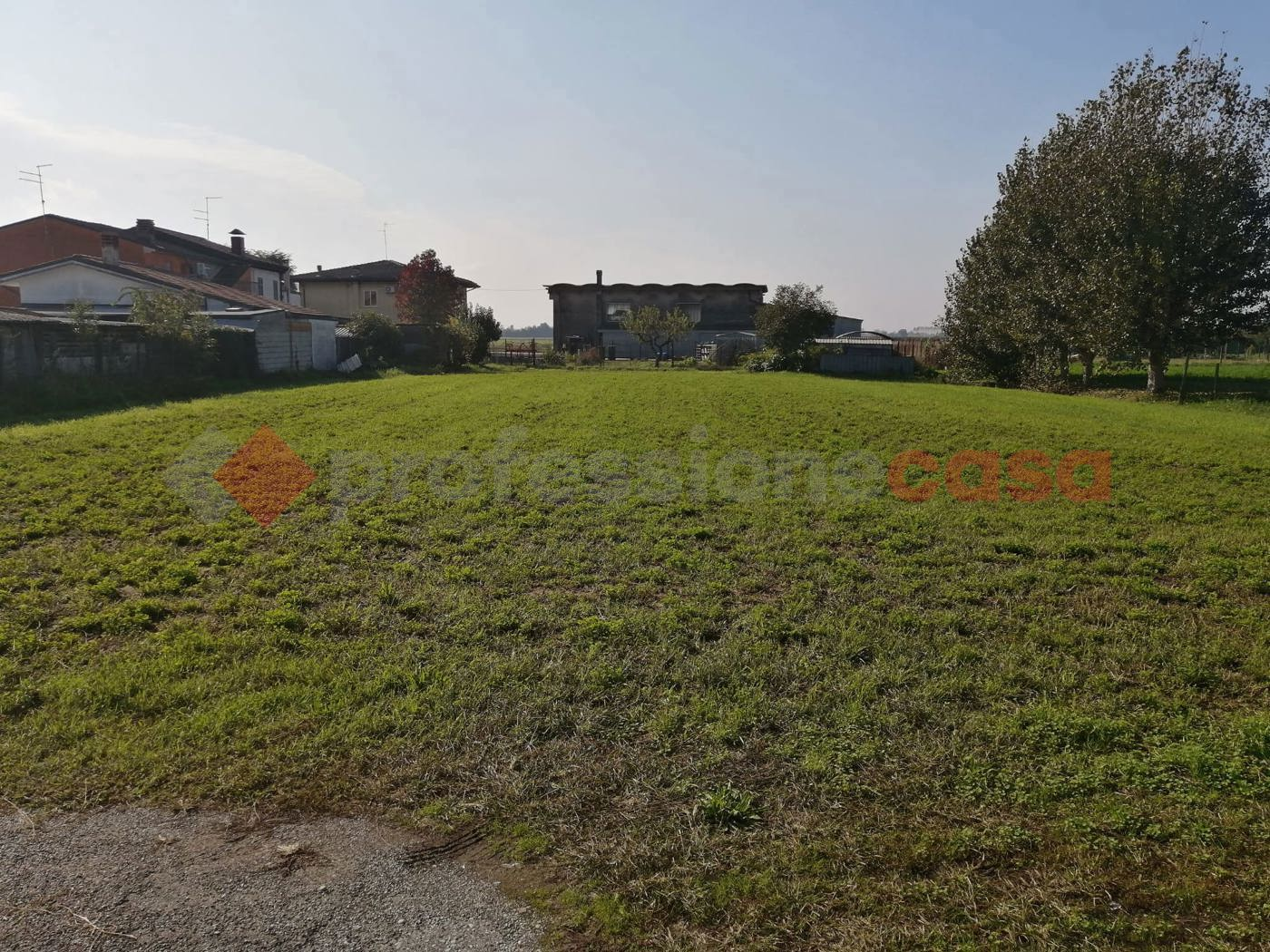 immagine annuncio 2 di 6