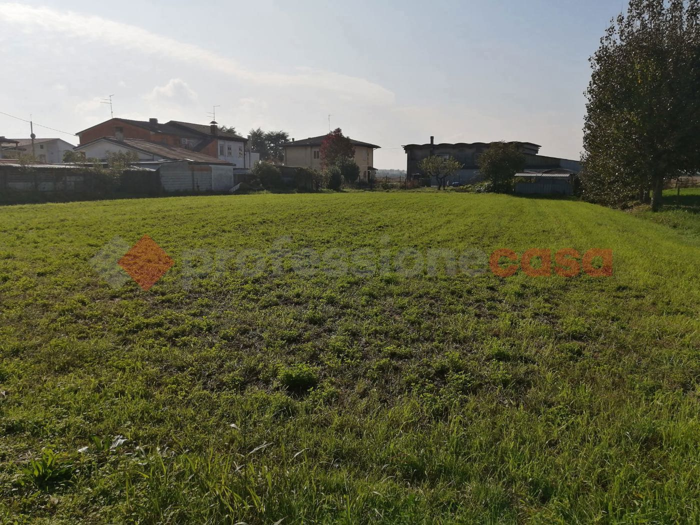 immagine annuncio 4 di 6