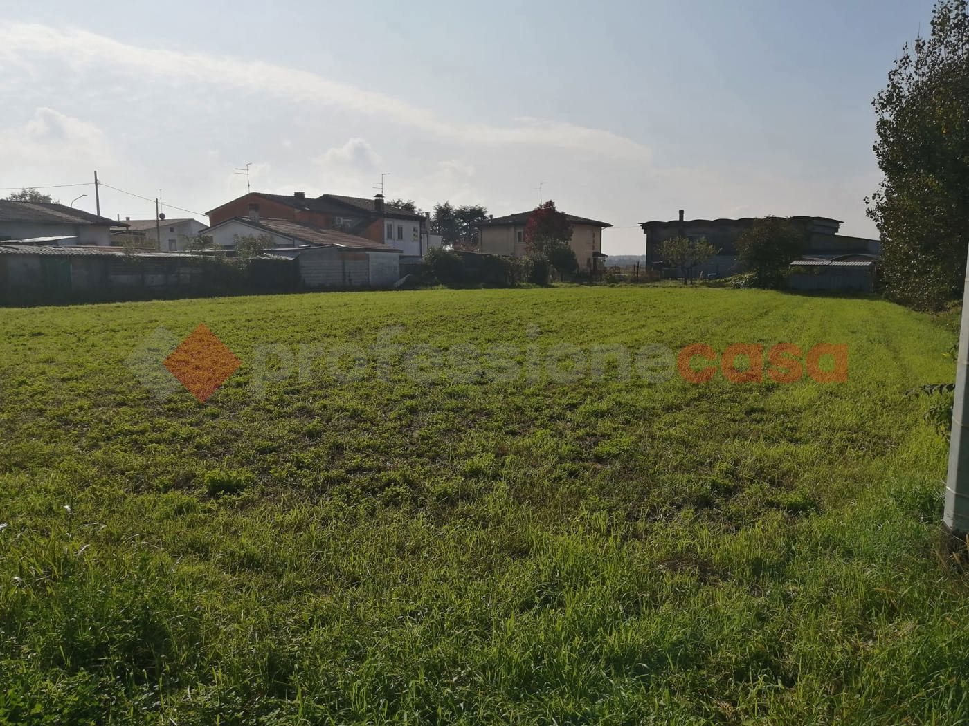 immagine annuncio 3 di 6