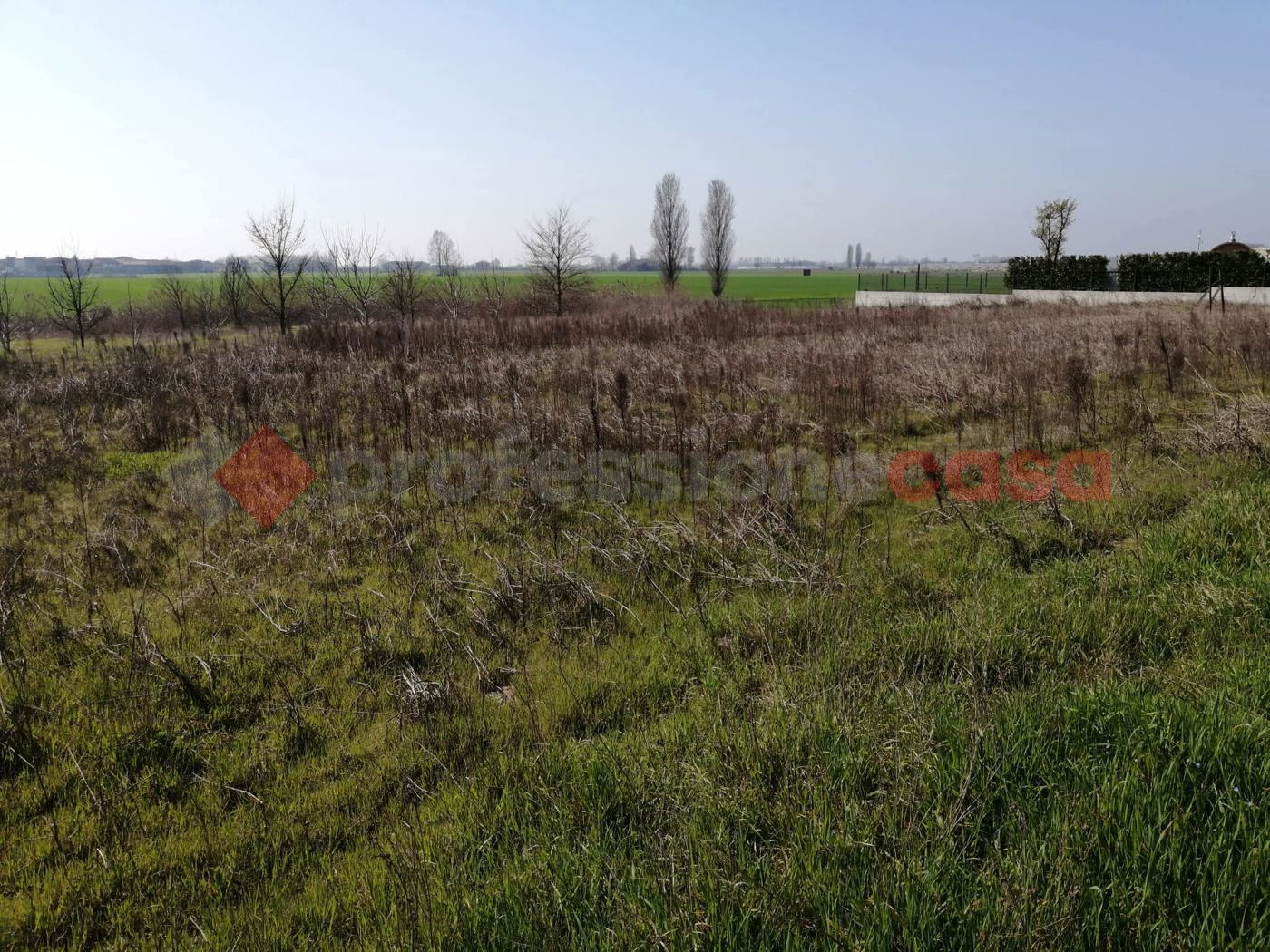 immagine annuncio 1 di 2