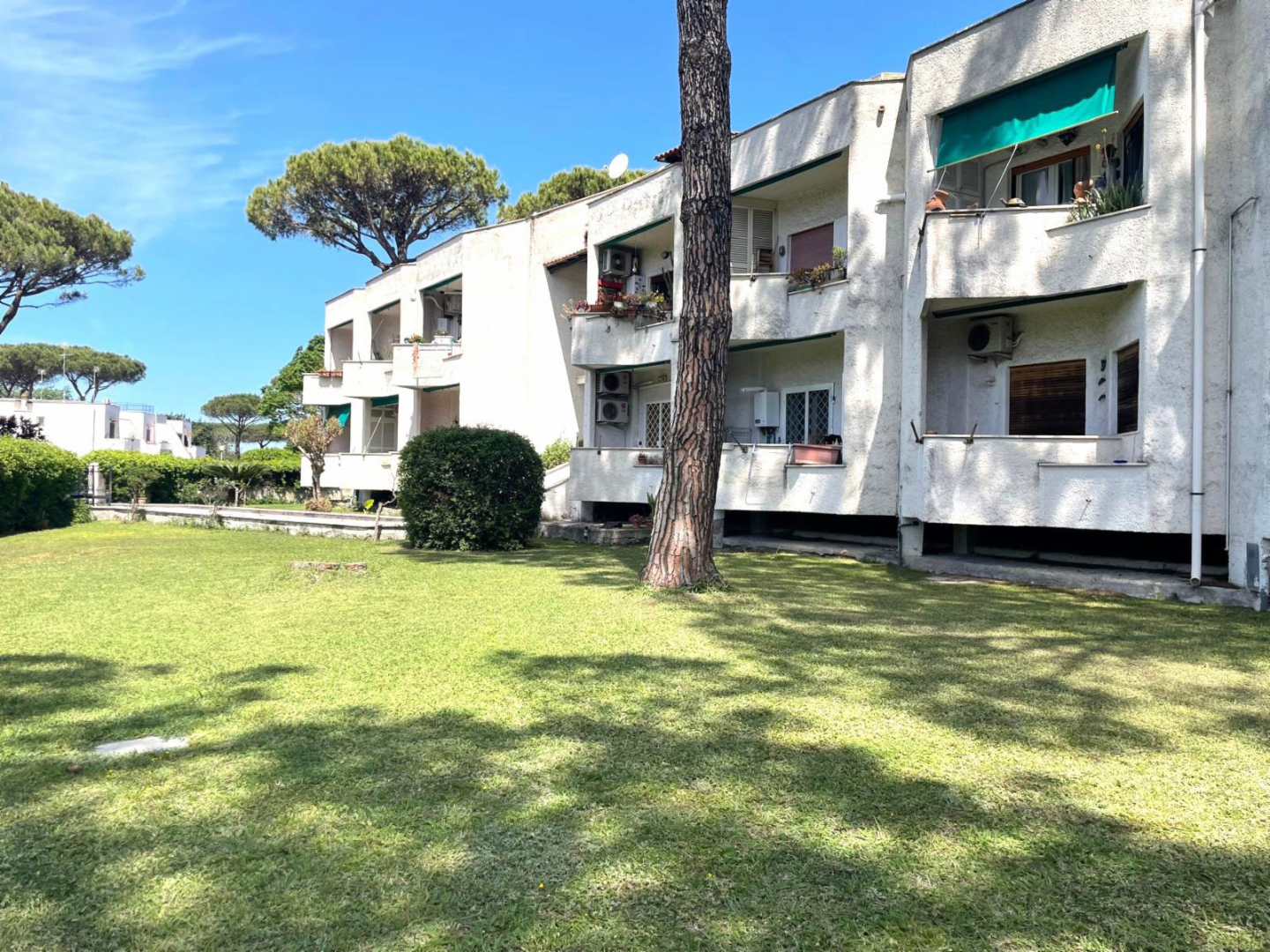 immagine annuncio 1 di 10